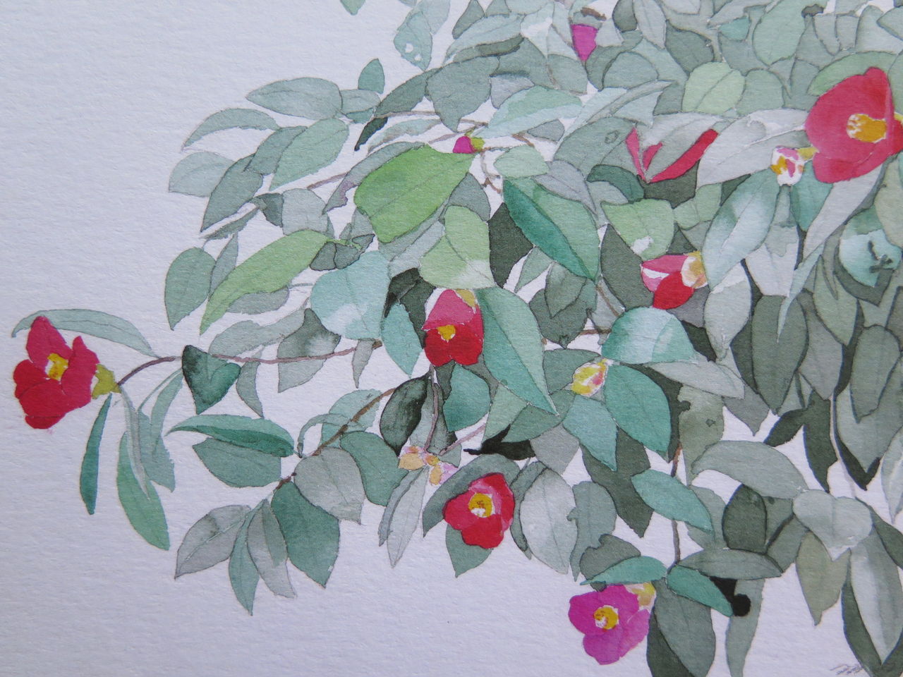 館内が四季折々の庭に変わる【御所の花 安野光雅】 : 彦島太郎の壽印