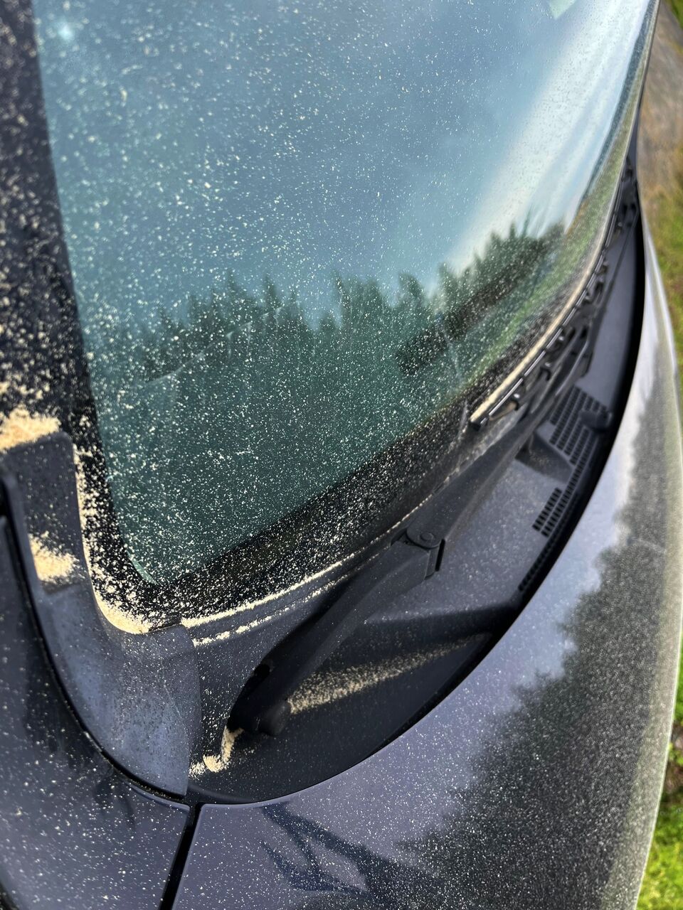 謎の黄色い粉事件 彦島太郎の壽印