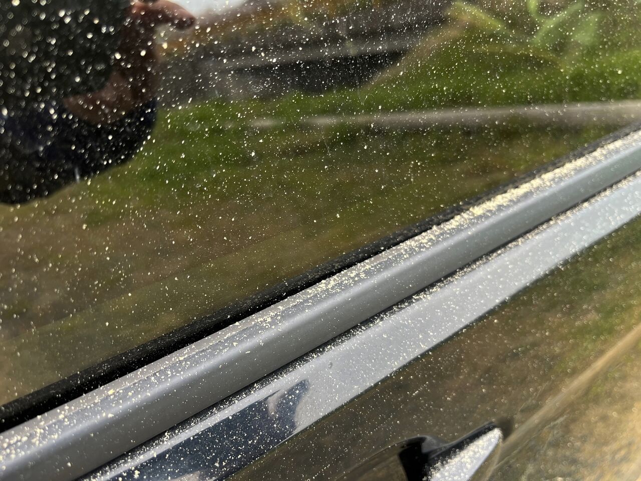 謎の黄色い粉事件 彦島太郎の壽印