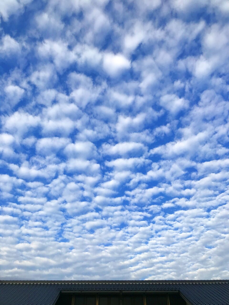 朝の羊雲 彦島太郎の壽印 朝の羊雲 彦島太郎の壽印