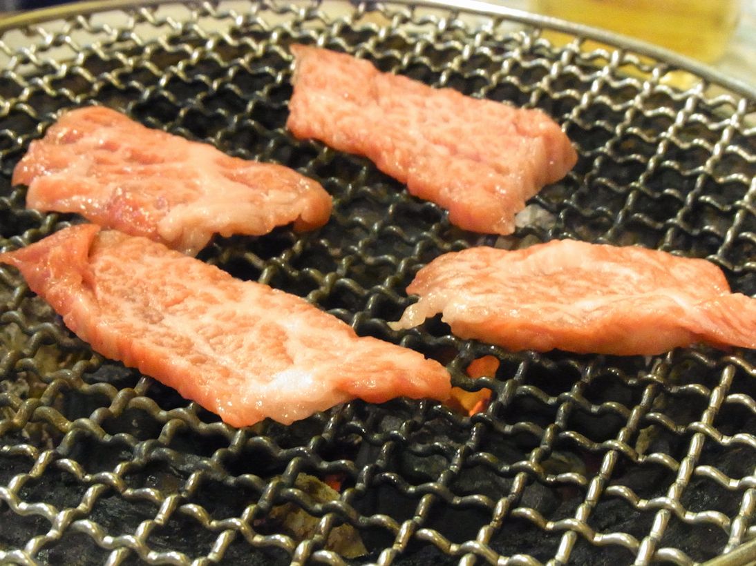 餓る噛む 平和苑 まな板の上に猫 餓る噛む 平和苑 まな板の上に猫