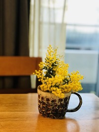IMG_6684