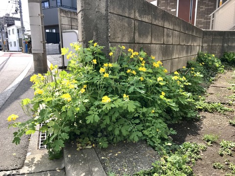 ファイル_008