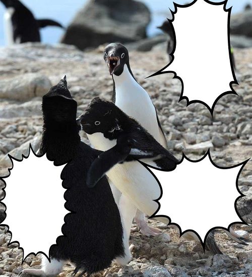 ペンギンコラ_元画像_元ネタ