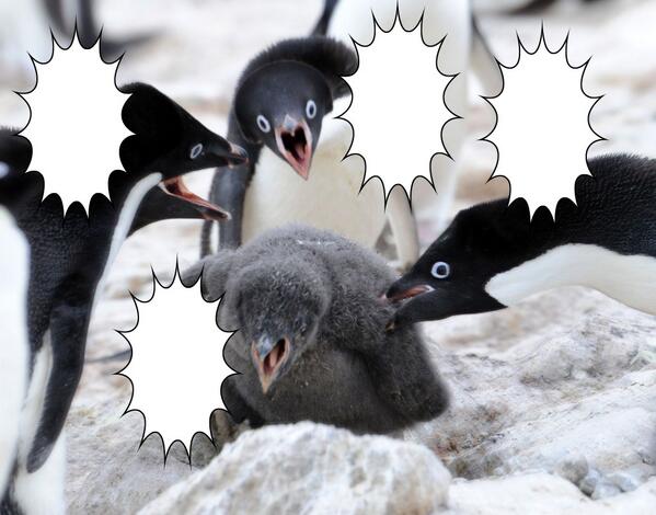 ペンギンコラ_元画像_元ネタ