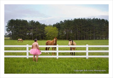 horses_the-tutu-project