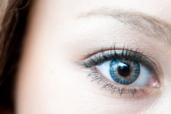 人工虹彩移植_the artificial iris implant