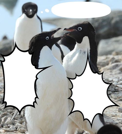 ペンギンコラ_元画像_元ネタ