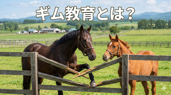 20260521_ギム教育