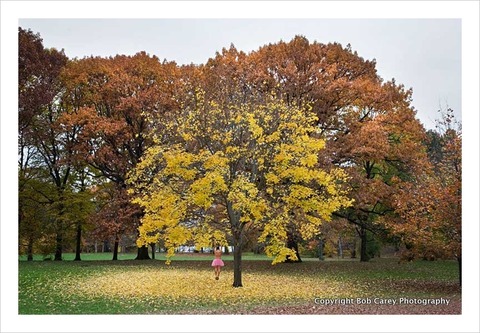 autumn-tree_the-tutu-project