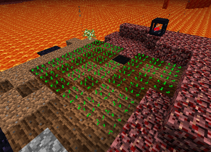 ネザー かくたすくらふと