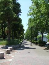 ����̾�Ų�