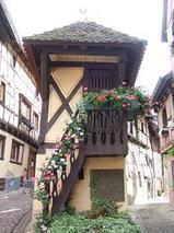 ���륶����