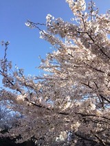 IMG_7140