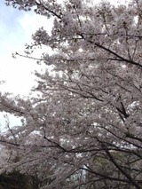 IMG_0038