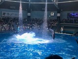 IMG_4675