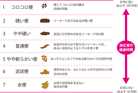 bristol_scale_便形状スケール