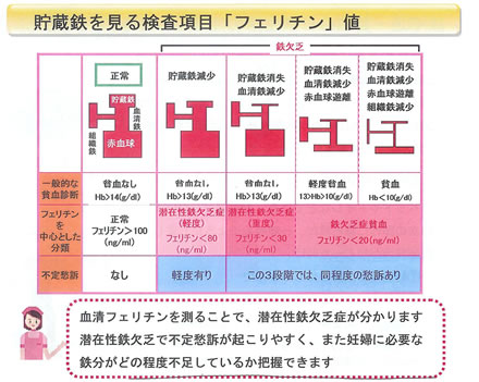 鉄欠乏、これもわかりやすい
