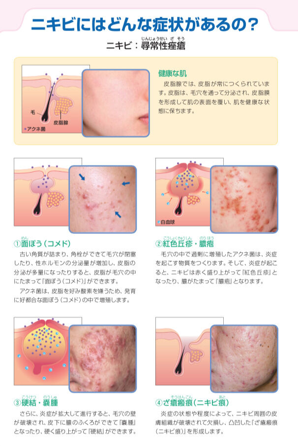 メープル木更津 内科診療