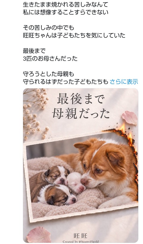 Screenshot_20260913-000247
