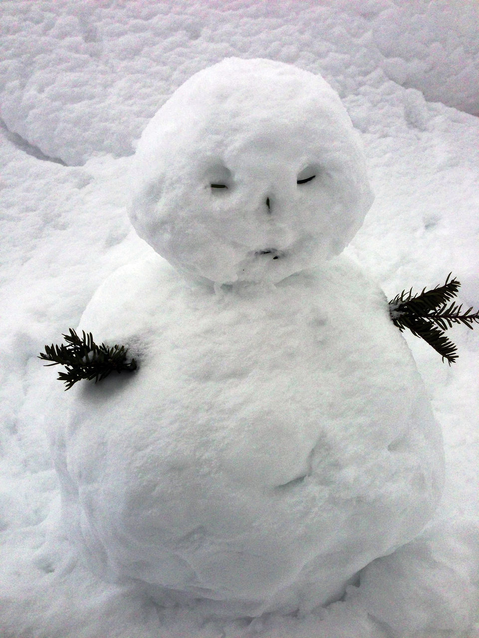 雪だるま 雪男 雪人形 子虎瑞穂の 雪だるま 雪男 雪人形 子虎瑞穂の
