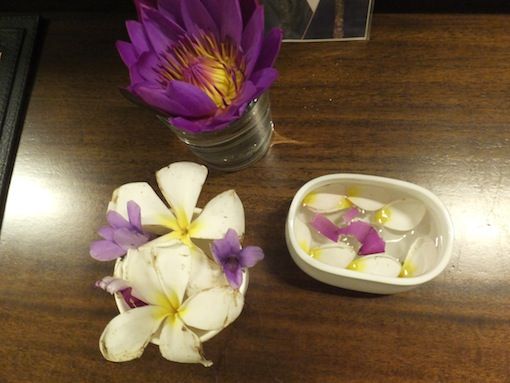 おようふく子とお花 小鳥の遊び場 おようふく子とお花 小鳥の遊び場