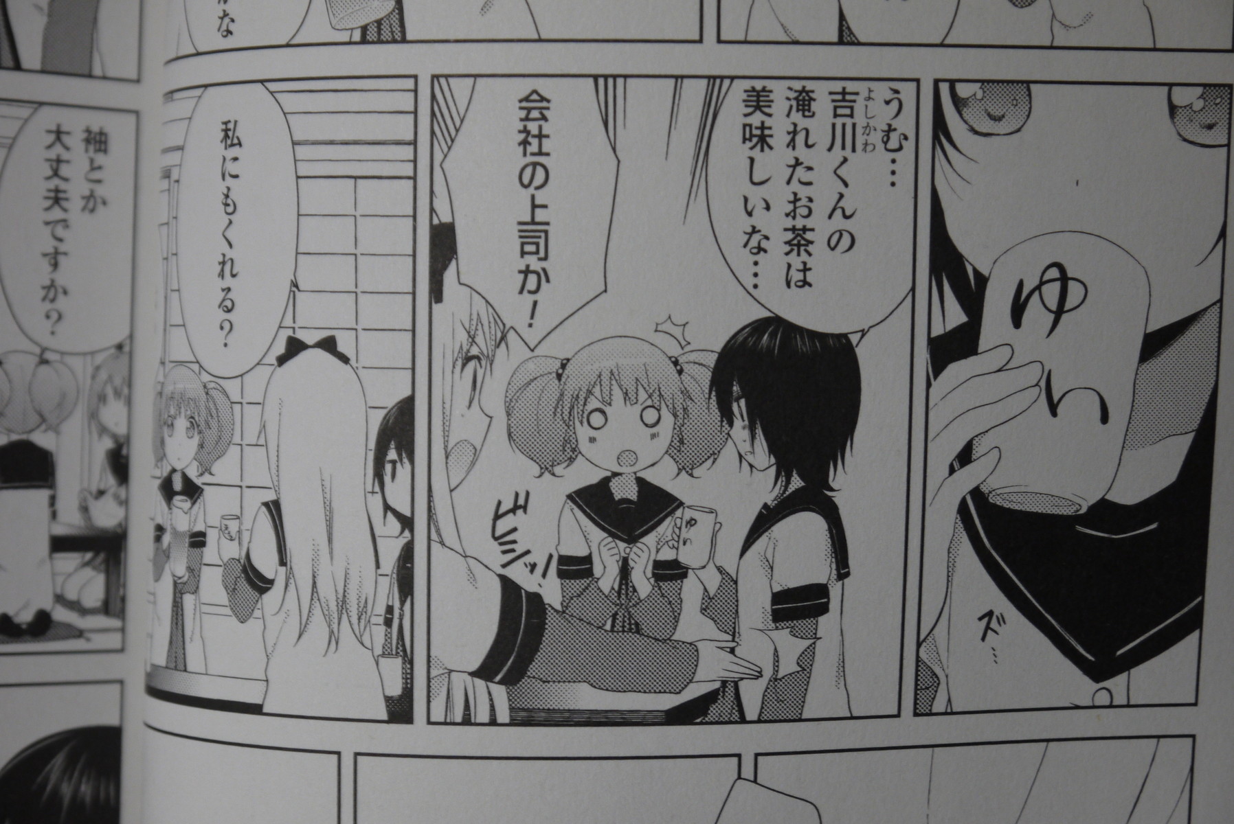 特装版 ゆるゆり 第11巻を買ってみた ことしつ 特装版 ゆるゆり 第11巻を買ってみた ことしつ