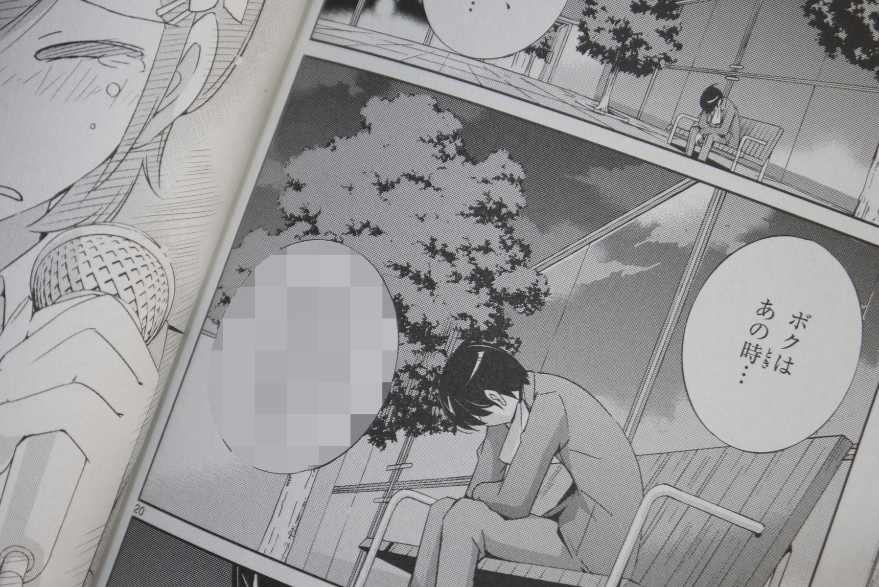 神のみぞ知るセカイ 第19巻dvd付き限定版を買ってみた ことしつ