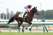 スクリーンショット 2023-01-17 190409