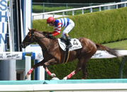 スクリーンショット 2021-04-13 203627