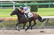 スクリーンショット 2022-09-20 210114