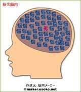 骨盤矯正