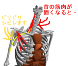 BlogPaint