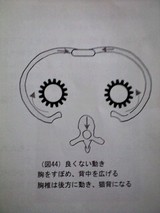 骨盤矯正