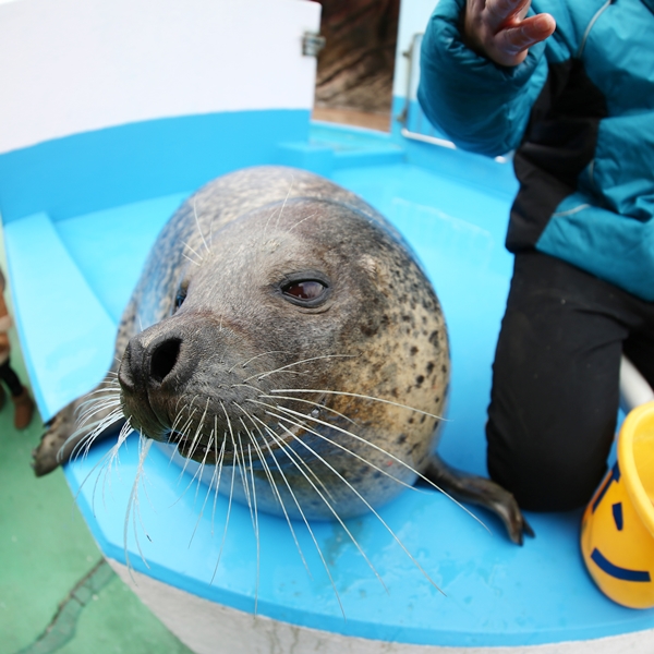二見シーパラダイス 二見イズム かな かわうそ初心者のブログ
