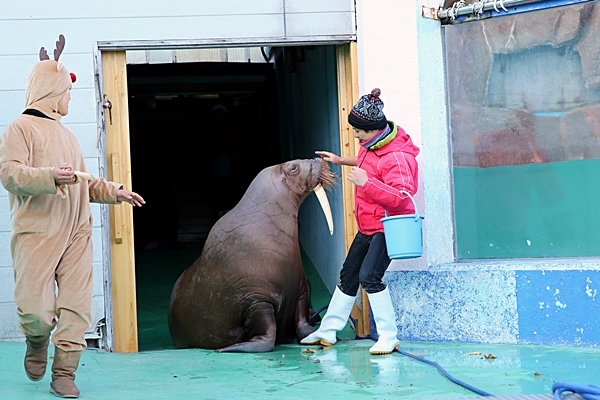 二見シーパラダイス 二見イズム かな かわうそ初心者のブログ
