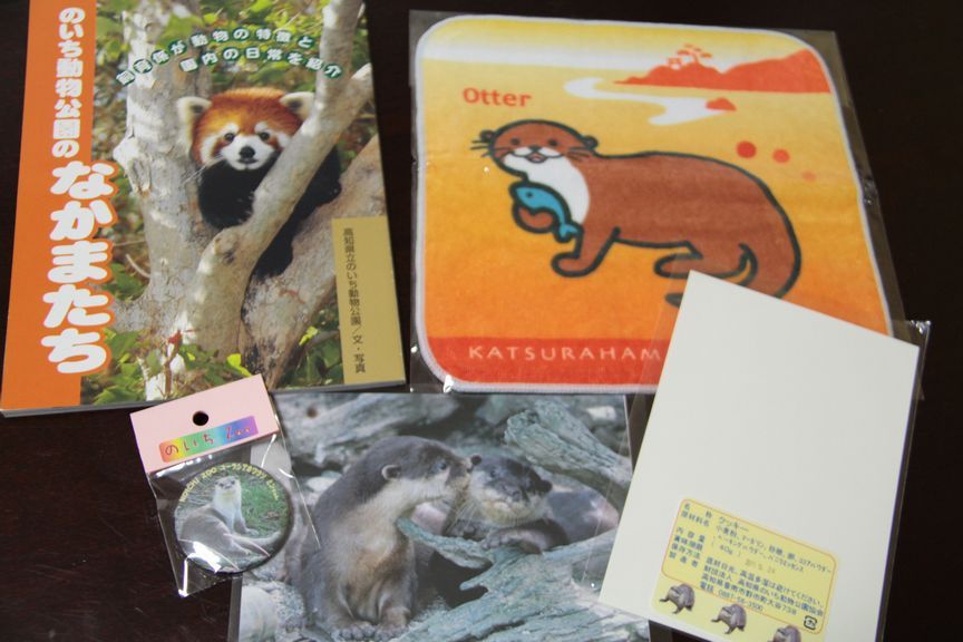 カワウソ出品 Amazon.co.jp: キュート販売 ぬいぐるみ コツメカワウソ S N0019