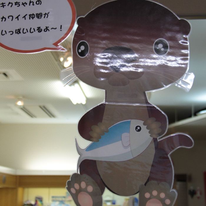 かわうそ初心者のブログ カワウソ