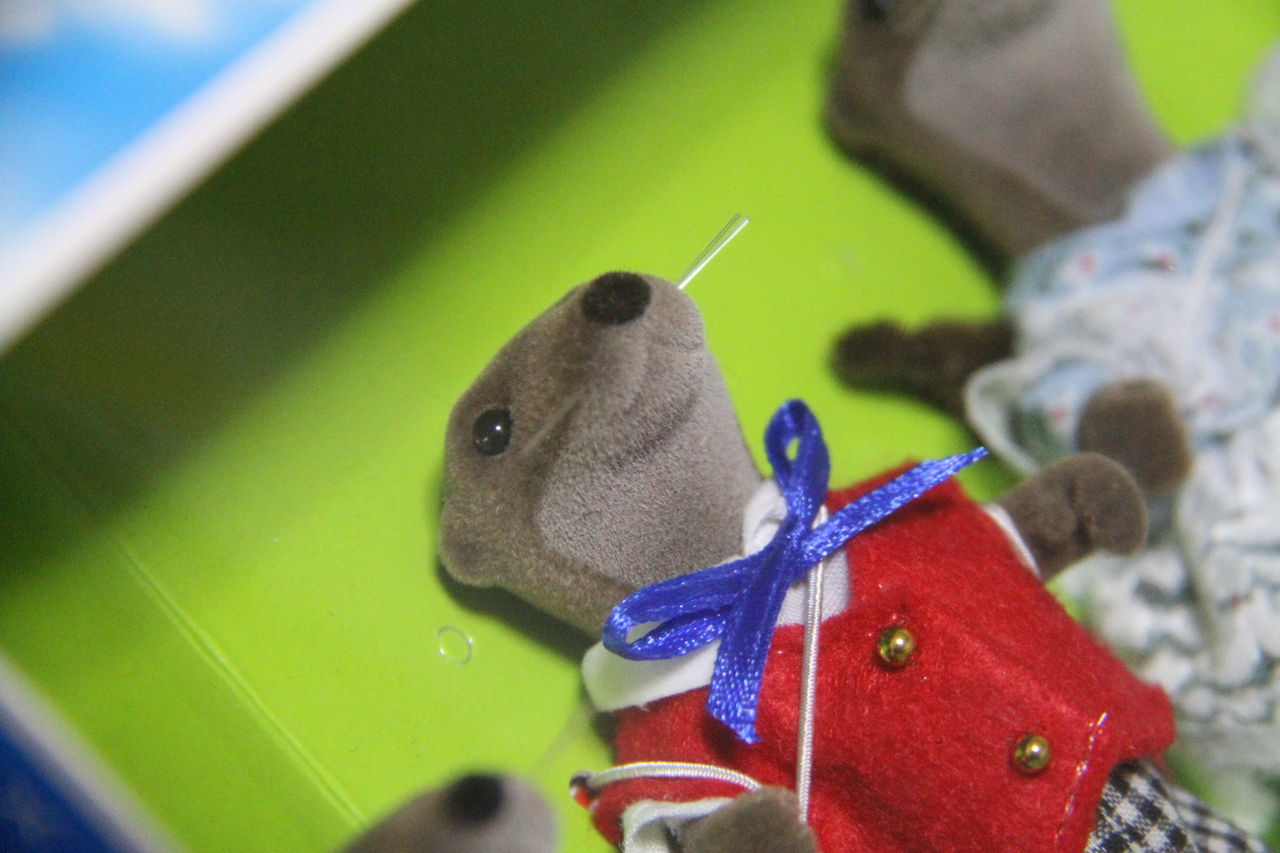 アクアトト 東山のお土産 かわうそ初心者のブログ