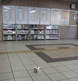 ���ܱؤΥ�������