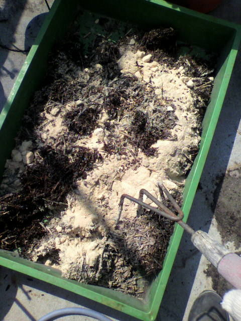 堆肥サイロの作業 バラと酒に酔いしれて