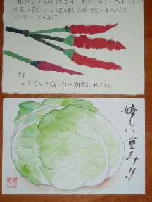 冬野菜2 絵葉書日記 と いつも幸せ気分 冬野菜2 絵葉書日記 と いつも幸せ気分