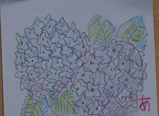 梅雨本番 そして中休み 絵葉書日記 と いつも幸せ気分