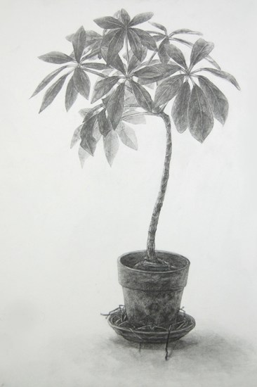 油彩画　カポック カポック : 絵画教室・画塾アトリエエムの日々