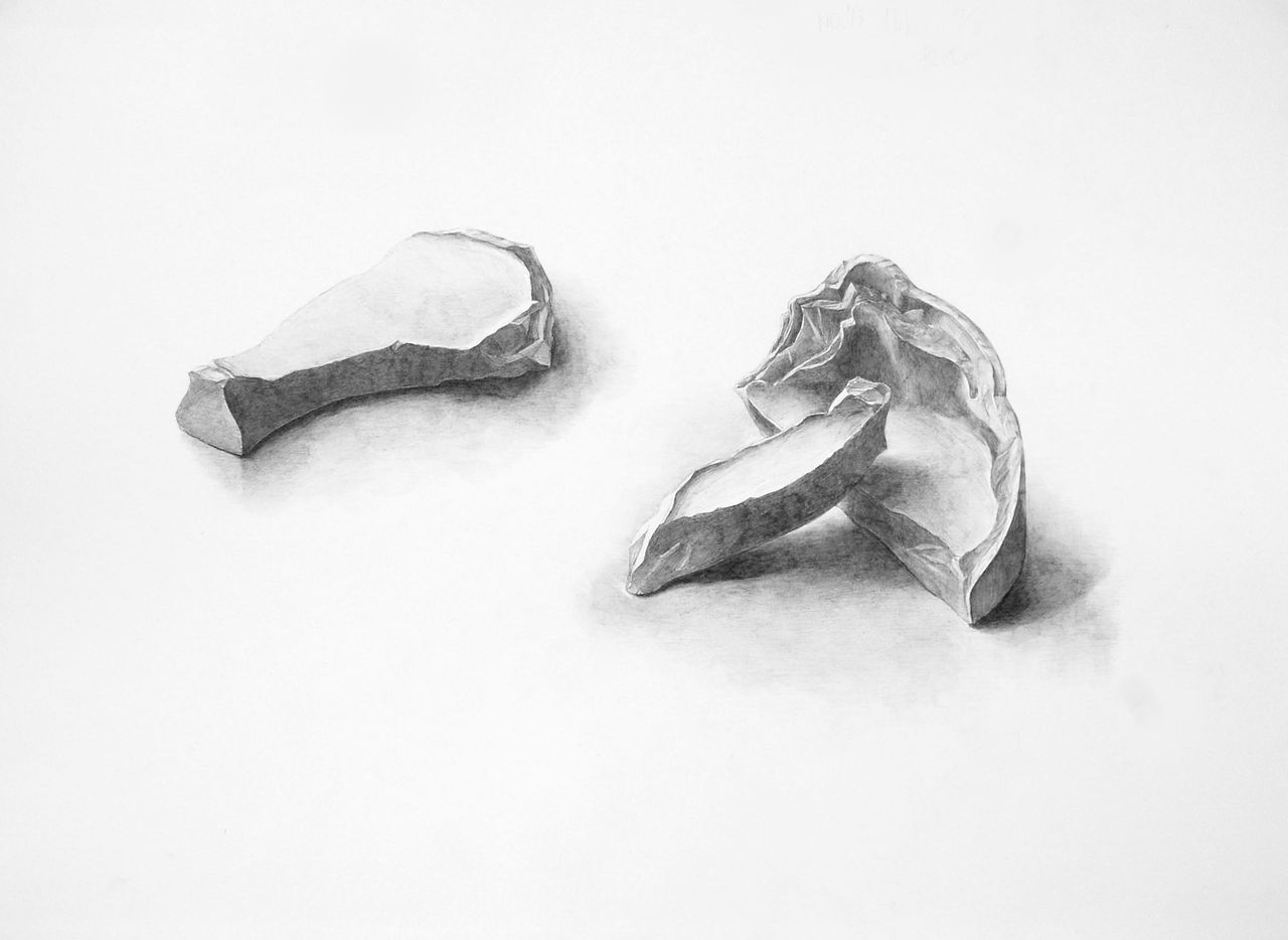 細密描写 絵画教室 画塾アトリエエムの日々 細密描写 絵画教室 画塾アトリエエムの日々