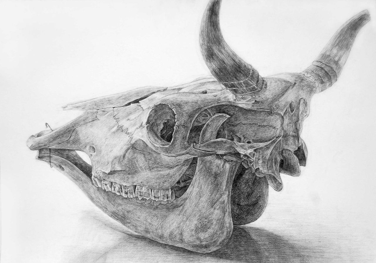 最終日 絵画教室 画塾アトリエエムの日々