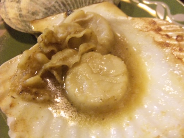 葛西 居酒屋 旭 One Day One Comment One Photo