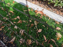 PXL_20251101_020038614