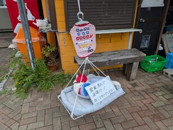 PXL_20250811_043035439