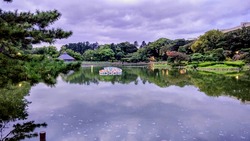 DSC_5461~3